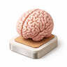Psicología y Mindfulness